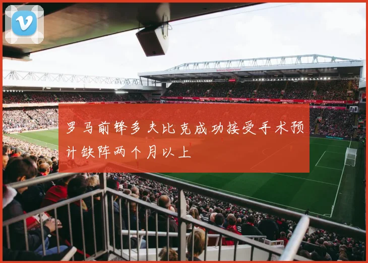 罗马前锋多夫比克成功接受手术预计缺阵两个月以上