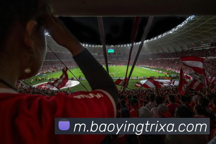 宝盈体育平台生态图